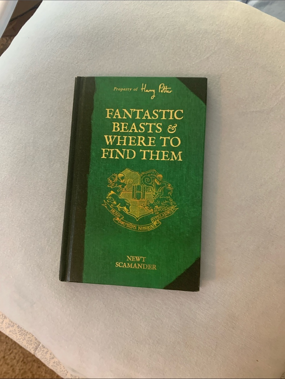 Green Hardcover Notebook – Fantastic Beasts Design